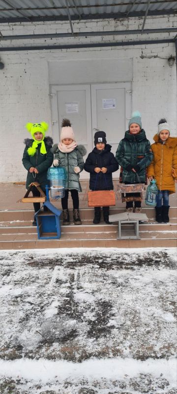 15 ������ � ������ ���������� ���� �������� ���� � ��� ������������� ��������, ������������ � ������������� ������������� �������� ���� ��� ���������� �� �����