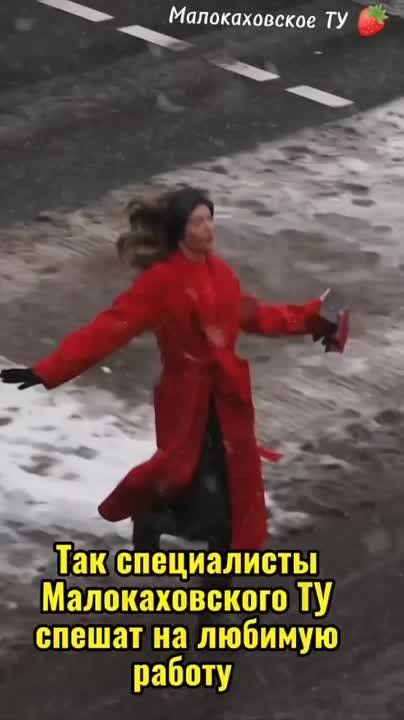 #������������