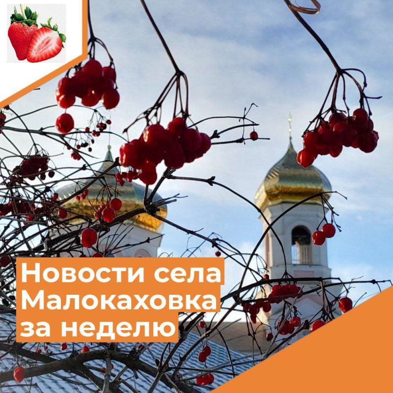 ������� ���� ����������� �� ������ � 8 �� 14 ������