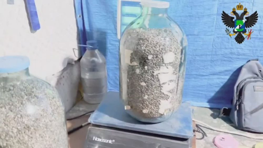 ���������� ���������������� ������� ���������� � ����� � ����������� ����� ����� ��������, ��������� ������ 2023 ����