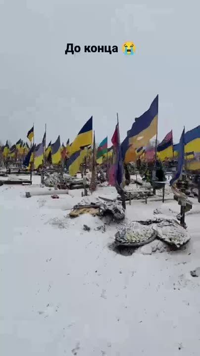 �������� ������: �� ���� ����� � ������ ����� ���������� �������������� �� ��������� � ��������, ���������������, ������ ����, ���������, �� �������������