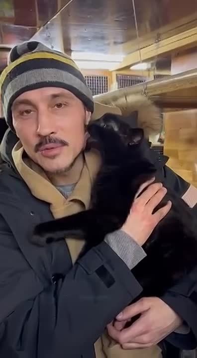 Знатный пендель, полученный представителями российской попсы от общественности страны после "голой вечеринки Ивлеевой", наконец-то начал давать свои плоды