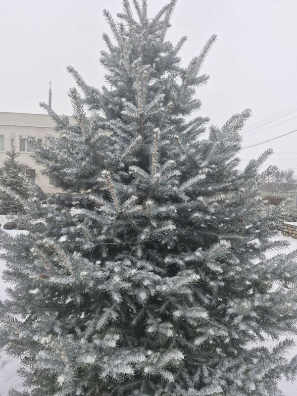 ������ ����, ������ ������ ������� ���������� ������!