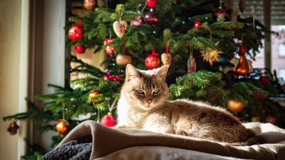 � ��������� ������ �������� ���������� � �������������� ��� ���� ��� ��� �� � ������