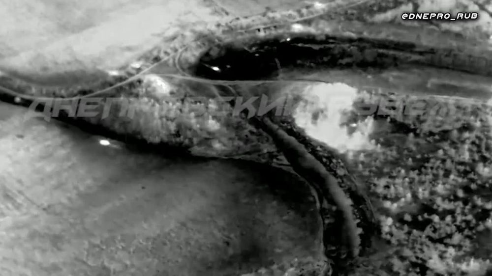 ����������� ����� "�����". ���������� �����������