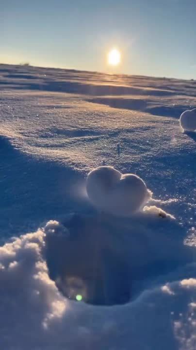 ������ ����, �����������!