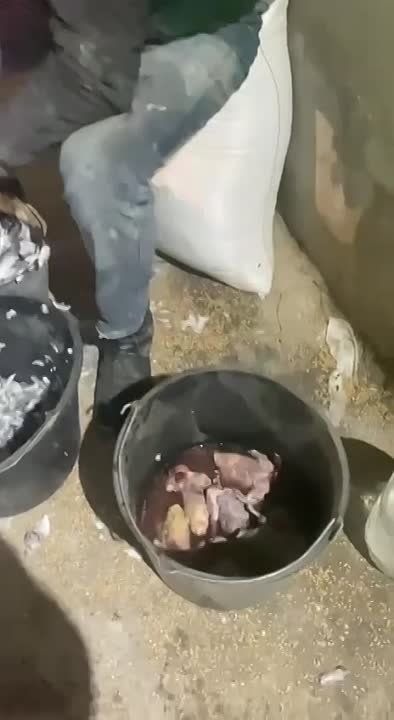 ����, ��� ����� �� �����, ���� � ��� ��� � ������� �� ��� �������, �� ��������� �������