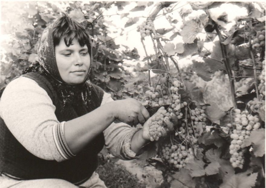 ������� ���� ����������� (�����������, 10 �����)