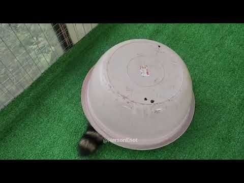 ��������� ���� ������