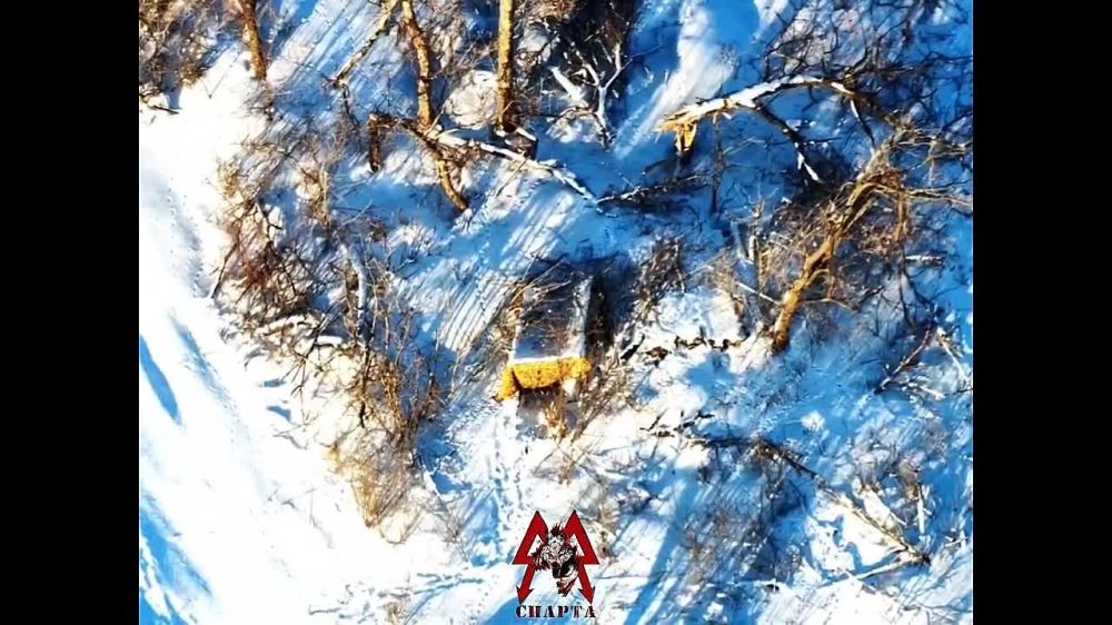 ������ ��������� ������ 1�� ��������� ����������� ������� ���������