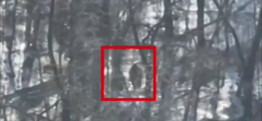 ���� ������������ �������� �������������� ����� � ����������� ���������