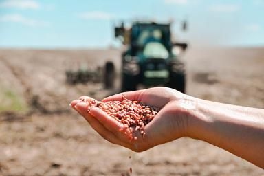 � 2023 ���� ������ �� ������������ ������ ����� 1,3 ���. �������� ���������� �������