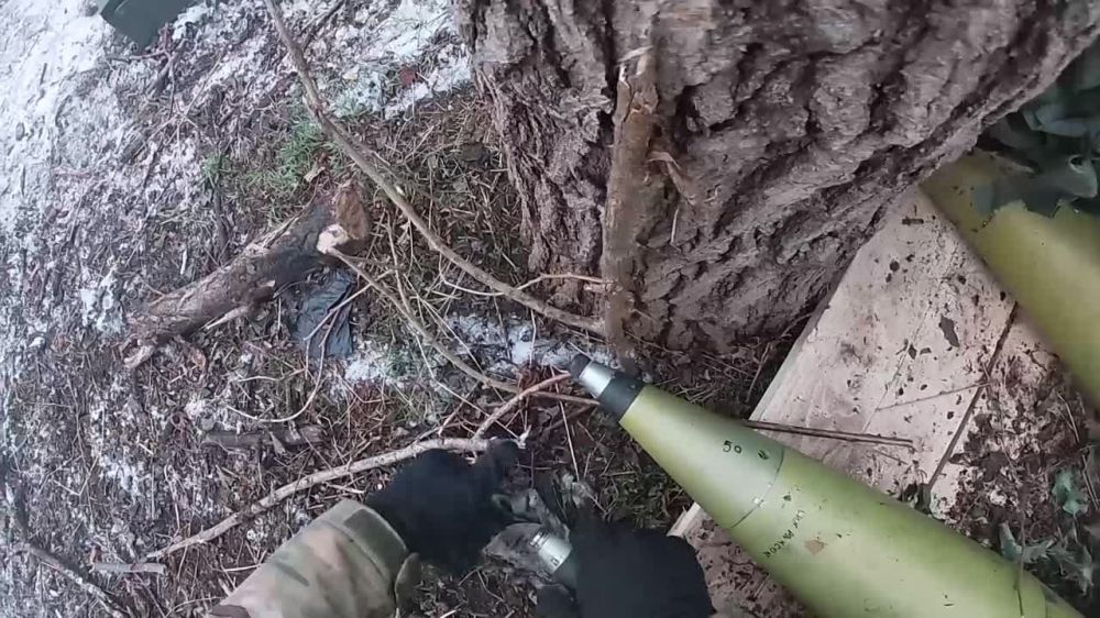 ������������-���������� �� ������� ����������� ����� "�����" ���������� ������� ����� ����������� ��� �� ������ ������ ������