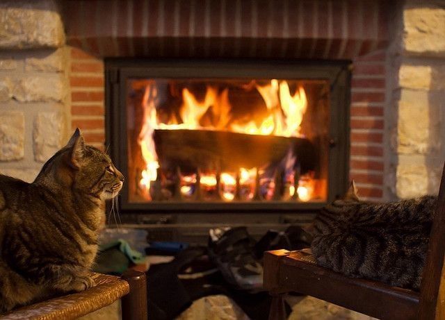 ���� ������� ������, ������! ������� � ������ ��� ���� �����, ��� �������� �����, �� �������� ������ �� ����� ����� ���������� �� ���� �������, �������� � ������ ������