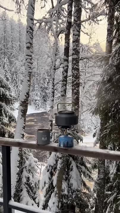 � ������ �����, �����������!