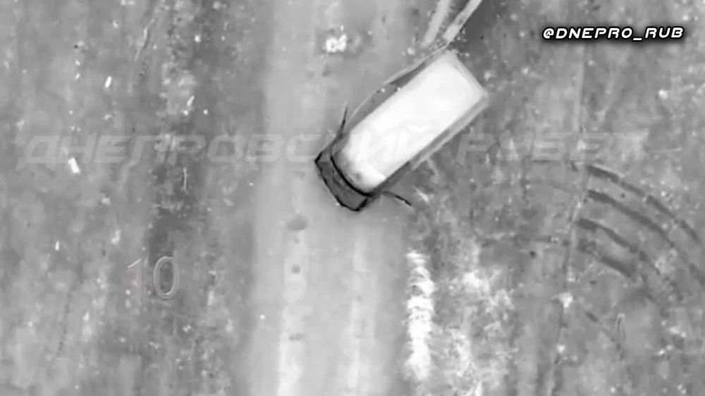 ����������� ����� "�����". ���������� �����������