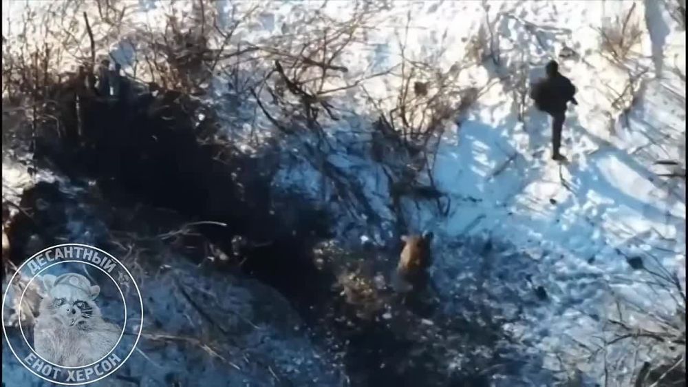 ���������� �����������. ��������� ������ ����� FPV ������. ��������