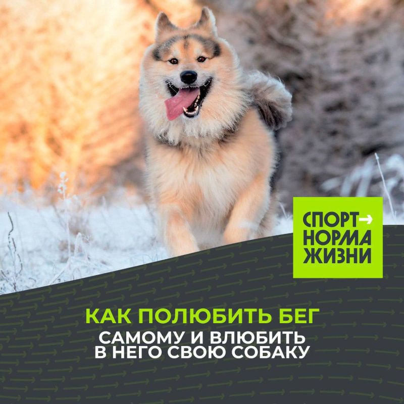 ������ � ������ ���� ��������