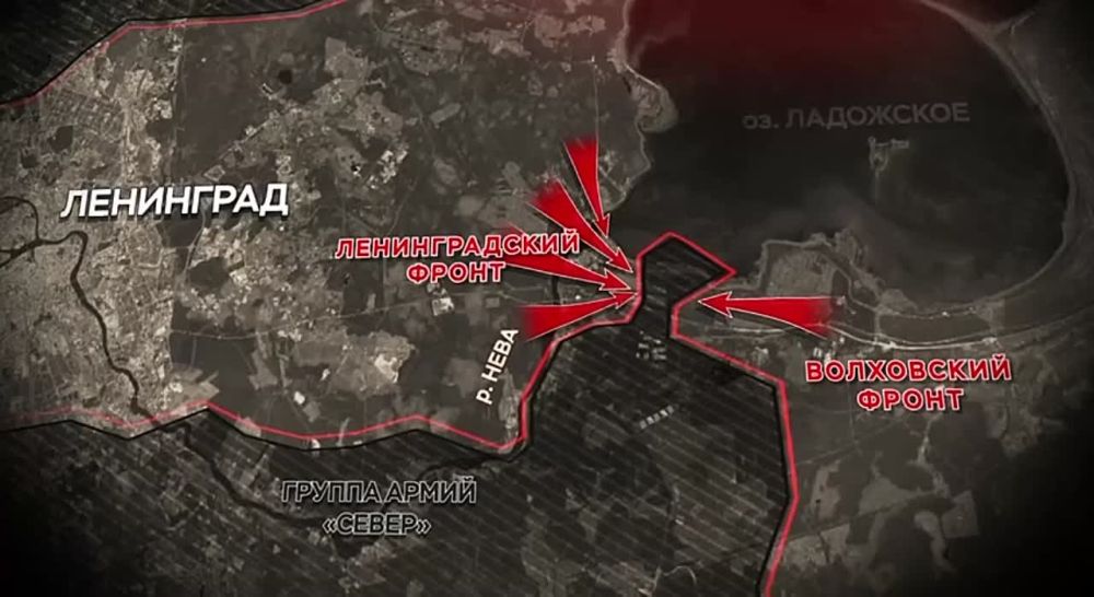 �������� ������ � ����� 81 ��� ����� ������� ����� �������� ������� ����������