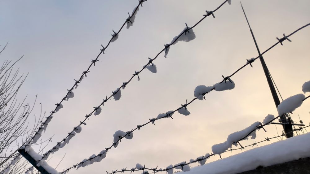 ����: ����� 150 �������� ��� ��������� � ���� �� ����� ����������� �����