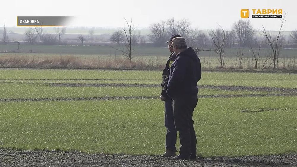 ������� ��� ���������� ������� ����� ������ ������� 2 ����������� � ���������� ������