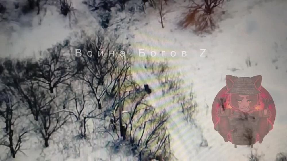 ������ ��������� �� ����� �����