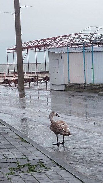 ���� �������� �������� 16 ������ �������� ��� ����������� ���������������� ����� ������������� ������������ ����������� ���������� ������� � ��������: ����� ����� �� ��������� ����� ��������� ���� �������� ��������� ������