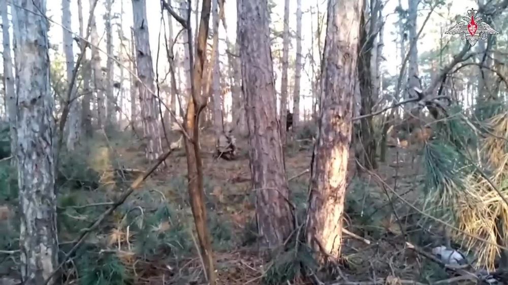 ������� 810-� ��������� ����������� ������� ������ � ������� ������� ������������� ����� ��������� ��� ������� ��� ����������� ������� ������� �� ����������� ������� � ����� ����� ������