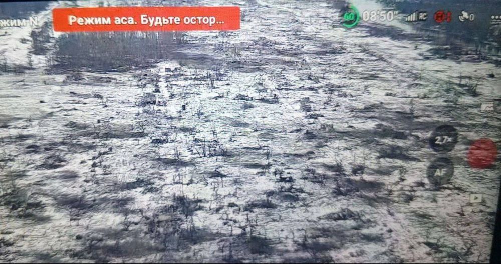 ��� ������ �������� ������