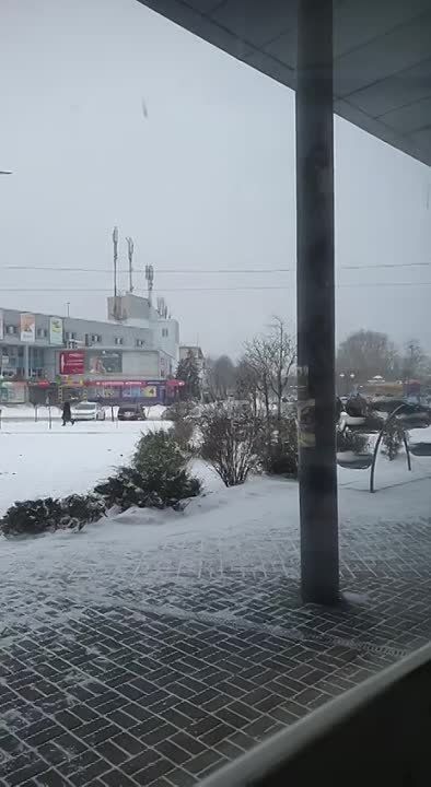 �� ������� ���������� ������ ��������� ����������� �����������