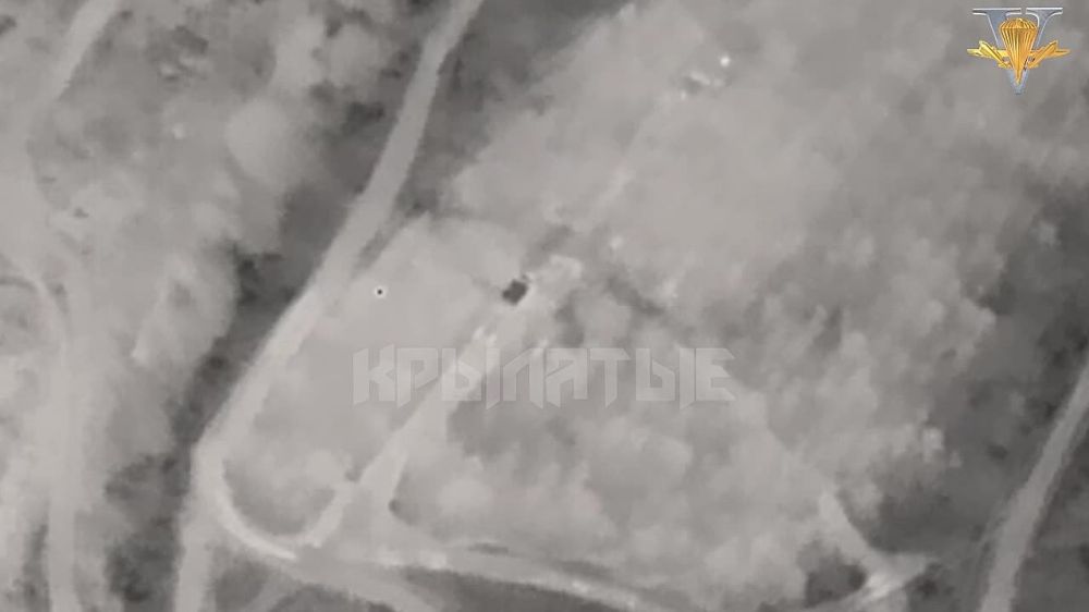 ����� �����: ���������� �����������, ����� �.�. �������