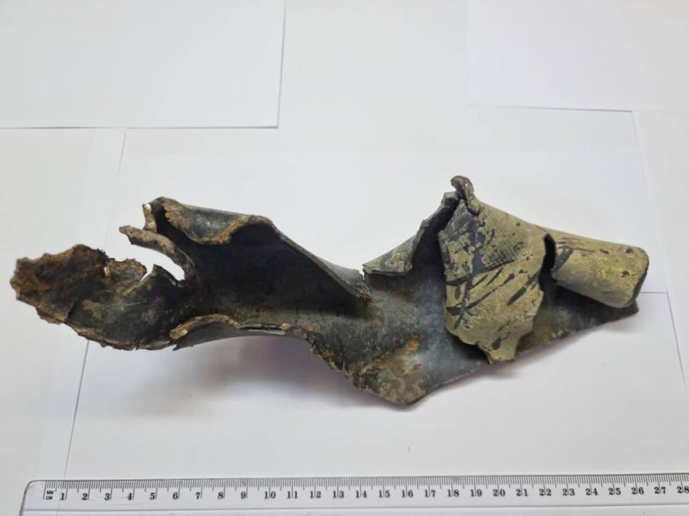 �������: ��� �� ����� ��������� ������������ ������� 12 �������-���������