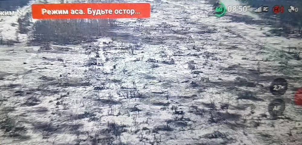 ������ � ���������� ������� �� � ����� �������� ������ ��������