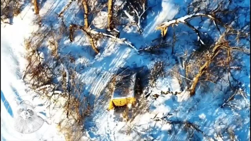 ���������� �����������. ��������� ������ ����� FPV ������. ��������