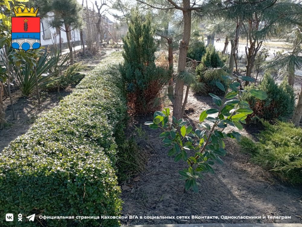 ������ ����, �������!. @VGA_Kakhovka