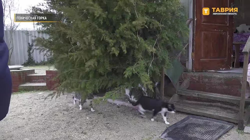 � ���������� ������� ����������� ����� 18 ����� ������� ������������ ������������ ����������� "������� ���"