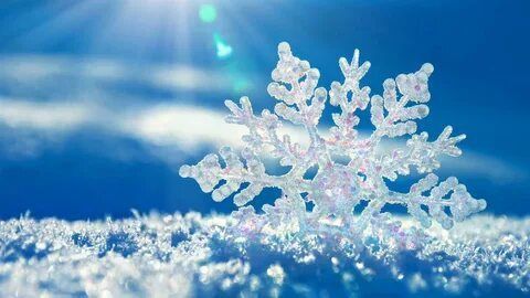 ������ ����. ������� � ������� �� ���������� ����� ��� ����� ������ �������� ������. ��� �������. ����������� �� +5 ����� �� +11 ����