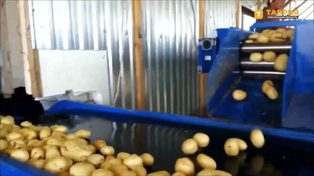 ����� ��������� � �������� �������� ���������� �������