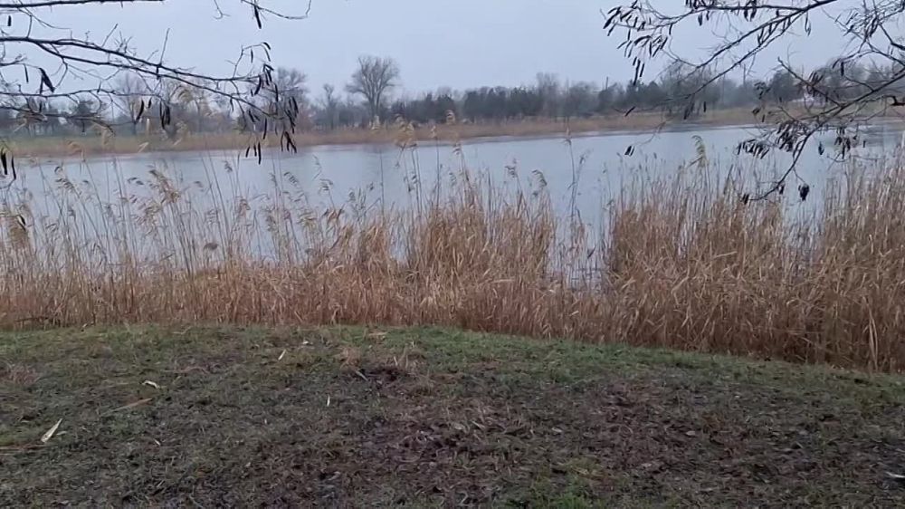 ������ ����������� ������ �������� �������� ��������