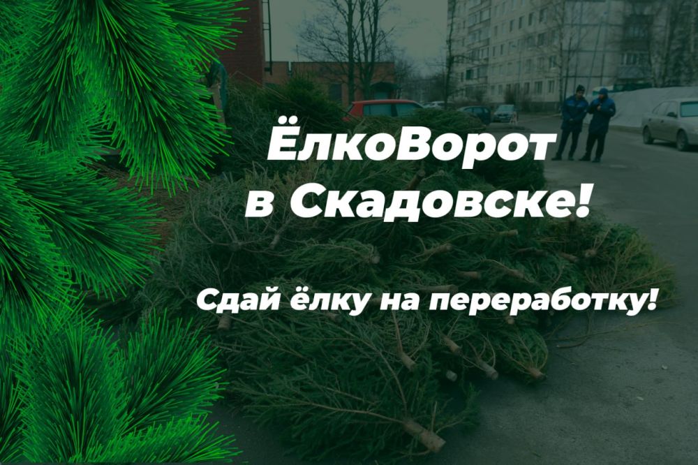 ���� ���� �� �����������!