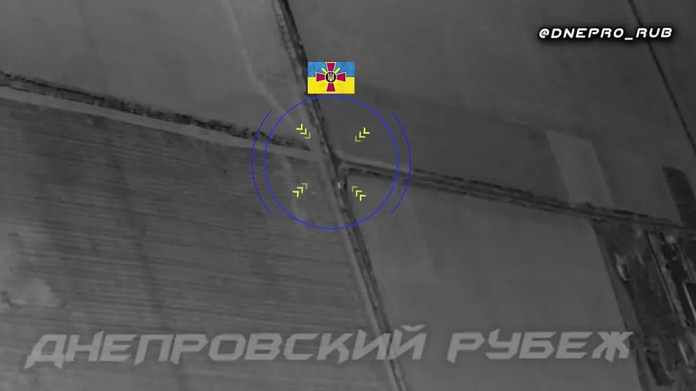 ������� ������ ���������� �������� �������� ������������ ��������