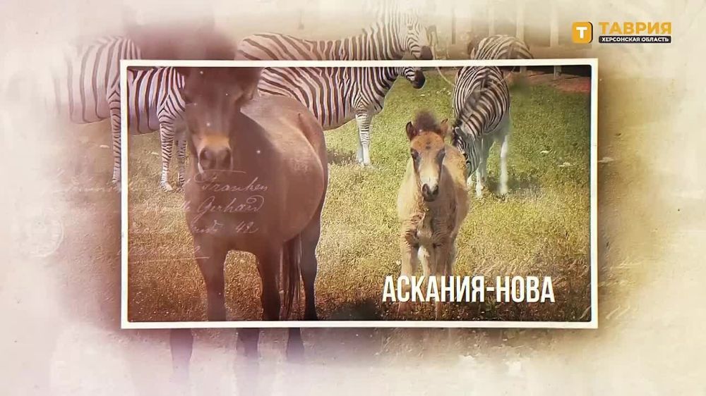 ���������� � ����� ������� ���������� �����