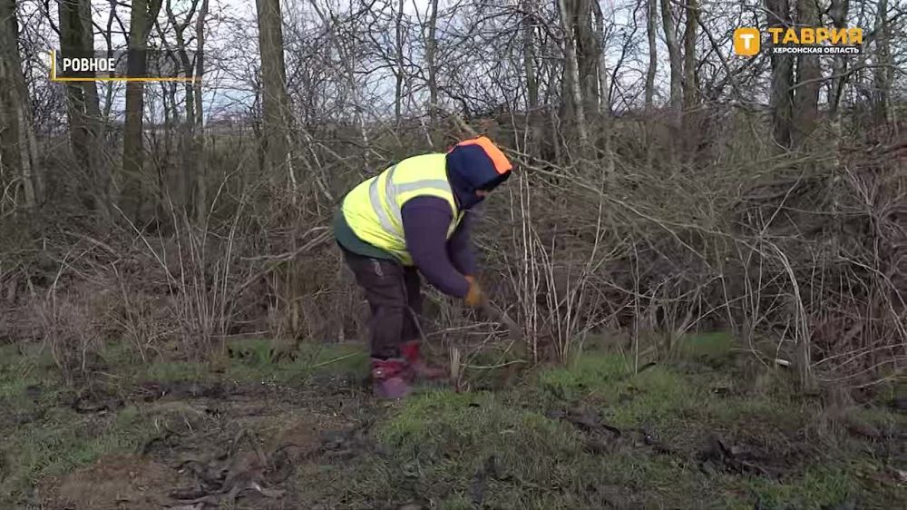 �� �������� ���������� ������� - ����������� - ������ ����������� "������ �������" ��������� ������ �� ������� �������� ��������������