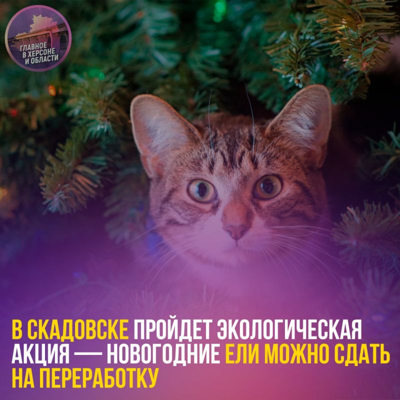 � ��������� ������� ������������� ����� � ���������� ��� ����� ����� ����� �� �����������