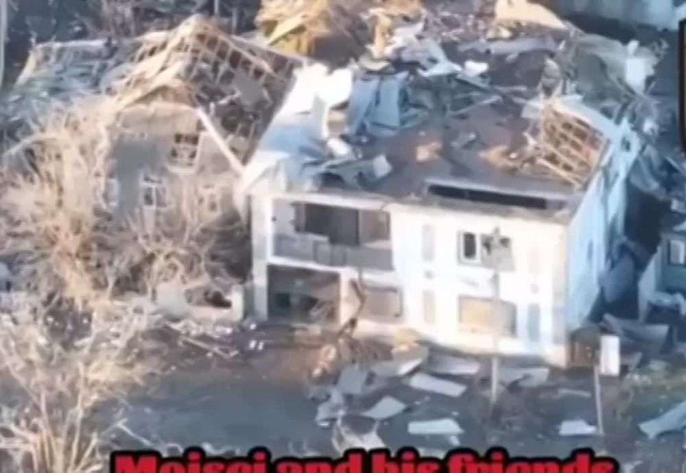 ��� ������: ���������� �����������. ���� ��������� ����� ����� �� ������ ����������, ������ ������ ������, ���������� � ������ 500 ������ � 38 ����� ���