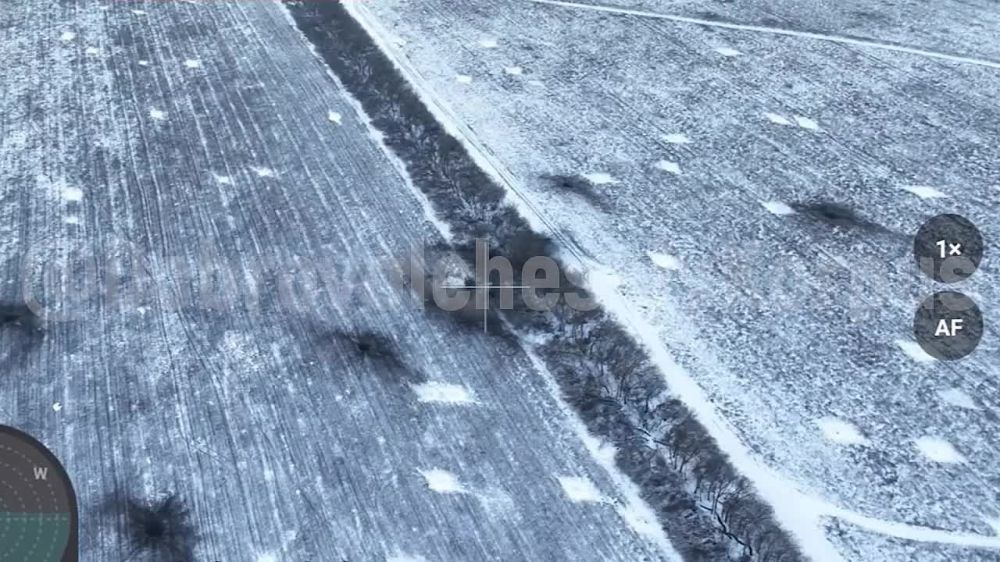 ����� ������ ���� � ������� ��� ��� ����� ����