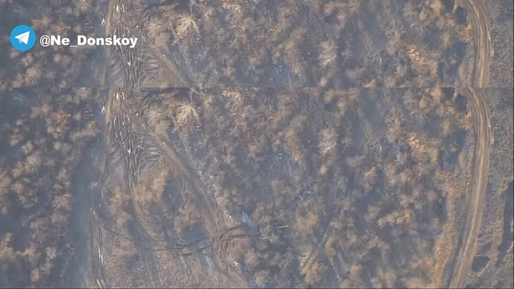 ����� �����: ����� �������� �� ������������� ��� � ���������� �������