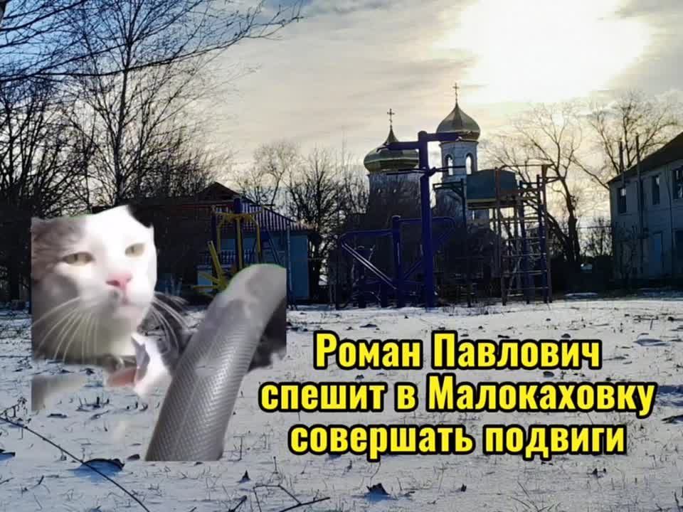 #������������