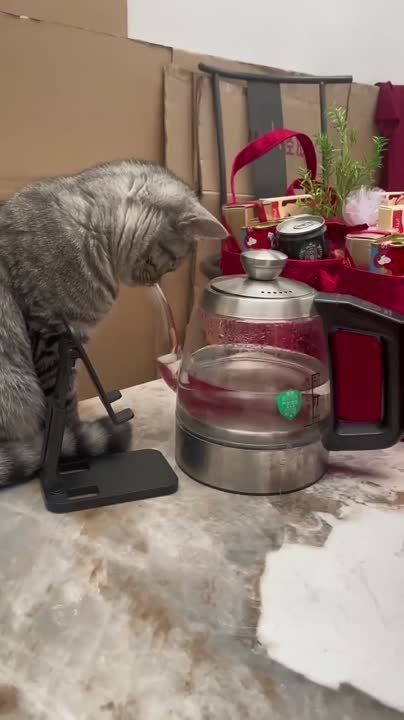 ������� ��� �����. � ���� ����� �������, ��� �������, � � ����� � � ������� ���� �� �����������