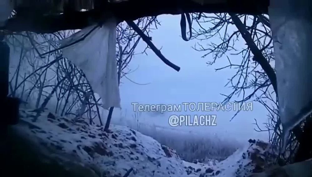 ����������� ������ ���� �� �������� ���������� FPV-����